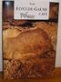 The Font-de-Gaume Cave: Cave Painting , Protection, Conservation, Interventions