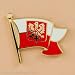  Lapel Pin - Polish Eagle on Flag