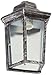 Trans Globe Lighting 4483 SWI Outdoor Rendell 12" Pocket Lantern, Swedish Iron