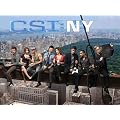 CSI: NY Season 5