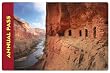 America the Beautiful - the National Parks and Federal Recreational Lands Annual Pass