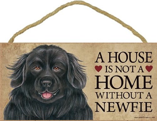 A house is not a home without Newfoundland Dog - 5