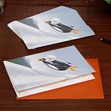 NCAA Texas Longhorns Football 12-Pack Christmas Cards- -