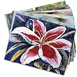 Tropical Blooms - Box Set of 12 Assorted Greeting Cards and Patterned Envelopes