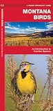 Montana Birds: An Introduction to Familiar Species (State Nature Guides)