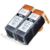 2 Pack Compatible Ink Cartridge Replacement for Canon PGI-225 4530B001 (2 Black)