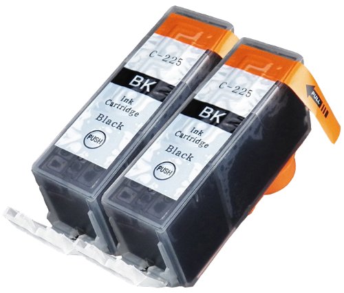 2 Pack Compatible Ink Cartridge Replacement for Canon PGI-225 4530B001 (2 Black)