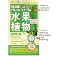 Reduce Weight Fruta Planta 30 Day Supply! Hologram Box And Gmp Genuine Sticker~a Security Sticker Which Holds A Special Code Which You Can Go Online To Verify The Authenticity Of Your Product By Reduce Weight Fruta Planta