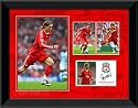 Fernando Torres 16x12'' Framed Player Profile, Liverpool FC.