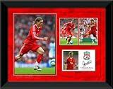 Fernando Torres 16x12'' Framed Player Profile, Liverpool FC.