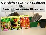 Gewaechshaus Botanische Juwelen Fleischfressende Pflanzen
