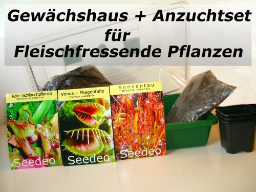 Gewächshaus Botanische Juwelen Fleischfressende Pflanzen