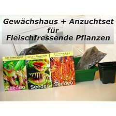 Gew�chshaus Botanische Juwelen Fleischfressende Pflanzen