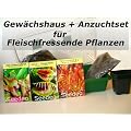 Gew�chshaus Botanische Juwelen Fleischfressende Pflanzen