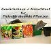 Gew�chshaus Botanische Juwelen Fleischfressende Pflanzen