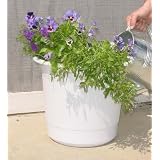 Self Watering Planter: 12 in - 2 pk (bone color) by Apollo