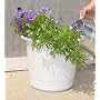 Self Watering Planter: 12 in - 2 pk (white color)