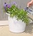 Self Watering Planter: 12 in - 2 pk (green color)