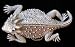 Horned Toad Lizard Large Belt Buckle
