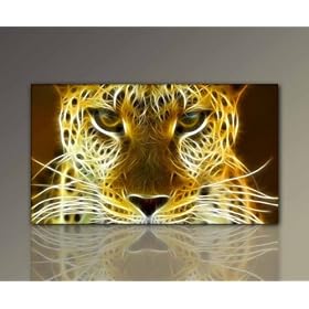Offre g�niale! Image s�r �cran xxl, bon march� et moderne (Dead_Stare-1-70x120cm) Images tendue sur ch�ssis, enorme, � trouver sur site internet. Press d�art nouveau comme image d�corative avec cadre de bois. Bonne id�e pour d�coration int�rieure. Moins cher que des images � l�huile. Dessin, photogaphie, poster, affiche avec cadre. D�co pour salle de s�jour o� chambre � coucher - Picture style (des animaux Cat abstraite la magie). 100% fabriqu�e en Allemagne - qualit� d�Allemagne. Autres images dans le shop internet.