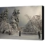 Heavy Laden Canvas Print / Canvas Art - Artist Lois Bryan