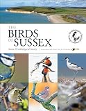 The birds of Sussex