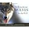 Items for Wolf Lovers!