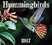 Hummingbirds 2017