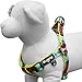 Blueberry Pet 2 Colors Soft & Comfy Step-in Southwestern Vintage Tribal Print Padded Dog Harness, Chest Girth 19.5