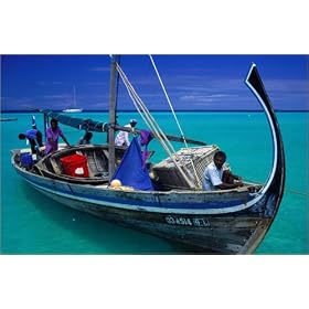 photographie Traditional boat with crew, Ari Beach. est disperible en (L x H): 90 x 60 cm de J. Lyon