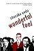 Wonderful Fool