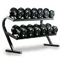 Powertec Fitness P-DR Two-Tier Dumbbell Rack