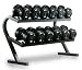 Search : Powertec Fitness P-DR Two-Tier Dumbbell Rack