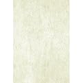 Champagne Window Film