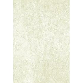 Champagne Window Film