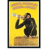Anisetta Evangelisti Liquore da Dessert Amped Art - 25.7x37.7