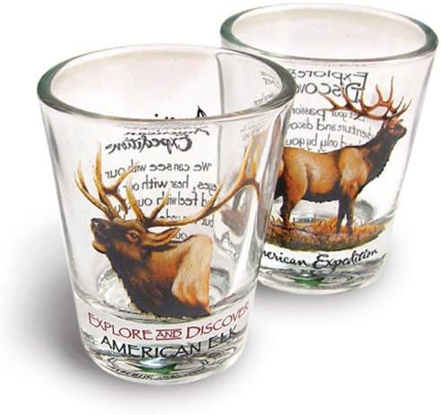 American Expedition Set of 2 Shot Glasses