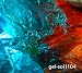Gel-sol-Gel-Sol 1104 [RARE]