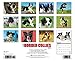 Just Border Collies 2015 Wall Calendar
