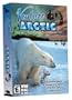 Brighter Minds Venture Arctic