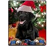 Labrador Retriever Christmas Mousepad
