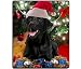 Labrador Retriever Christmas Mousepad
