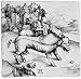 Albrecht Durer (The sow deformed by Landser) Art Poster Print - 11