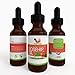 100% Pure & Natural, Certified ORGANIC Rosehip Seed Oil HUGE 2oz Bottle! Works Or Your Money Back! Highly-Potent For All Skin Types, Anti-Aging, Wrinkles, Heal Acne Scars, Burns, Age Spots Or Dry Brittle Hair! No Chemicals! Spa Quality From Aveya Beauty