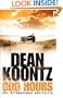 Odd Hours (Odd Thomas 4)