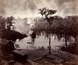 Steamboat Approaches Dock in Silver Springs, Florida, ca. 1886 - 16" x 20" - Fine-Art Gicle Photographic Print of an Image from the Library of Congress Collection