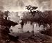 Steamboat Approaches Dock in Silver Springs, Florida, ca. 1886 - 16" x 20" - Fine-Art Gicl??e Photographic Print of an Image from the Library of Congress Collection
