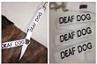husky dog harness