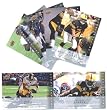 2008 Upper Deck First Edition Pittsburgh Steelers Complete Team Set of 7 cards including Ben Roethlisberger, Troy Polamalu and more!