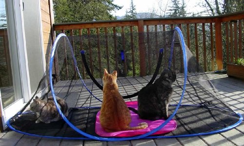 Outdoor Feline Funhouse - Cat Enclosure Tent